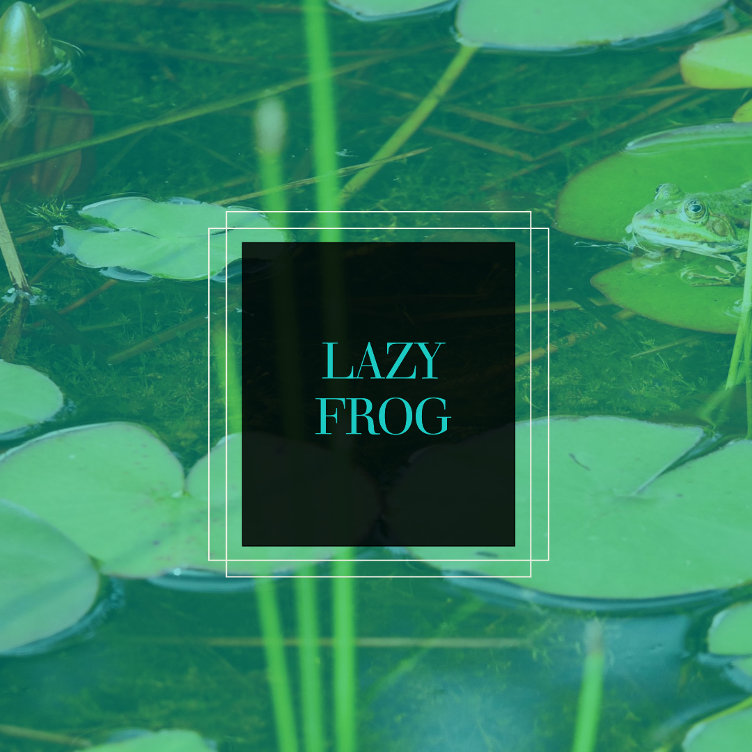 LAZY FROG MERCH