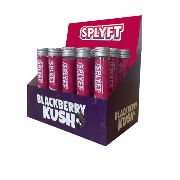 SPLYFT Cannabis Terpene Infused Rolling Cones – Blackberry Kush (BUY 1 GET 1 FREE) - Lazy Frog Shop