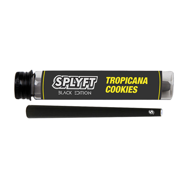 SPLYFT Black Edition Cannabis Terpene Infused Cones – Tropicana Cookies (BUY 1 GET 1 FREE) - Lazy Frog Shop